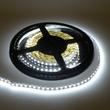 LED szalag, 3528, 60 SMD/m, vízálló, szilikon védő, hideg fehér LED szalag, 3528, 60 SMD/m, vízálló, szilikon védő, hideg fehér