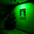 LED SMD reflektor 50W, kültéri, ZÖLD - IP66 LED SMD reflektor 50W, kültéri, ZÖLD - IP66