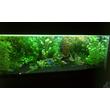 Led fénycső, T5, 145cm, 20W, 230V matt üveg semleges fehér AKCIÓ!!! Led fénycső, T5, 145cm, 20W, 230V matt üveg semleges fehér AKCIÓ!!!