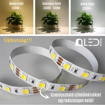 LED szalag , 5050 , 60 led/m , 14,4 Watt/m , 12V , állítható fehér színárnyalat , CCT LED szalag , 5050 , 60 led/m , 14,4 Watt/m , 12V , állítható fehér színárnyalat , CCT